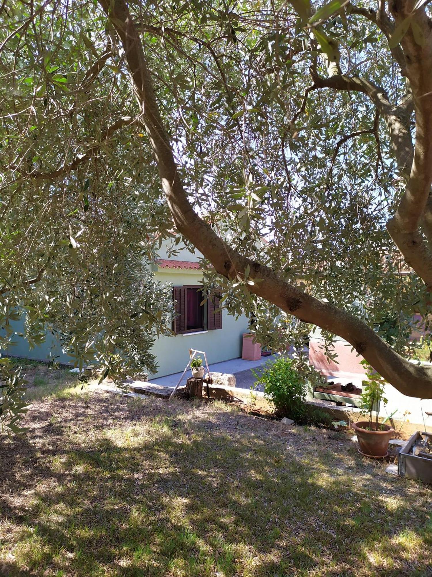 Apartmani Tara Medulin Buitenkant foto